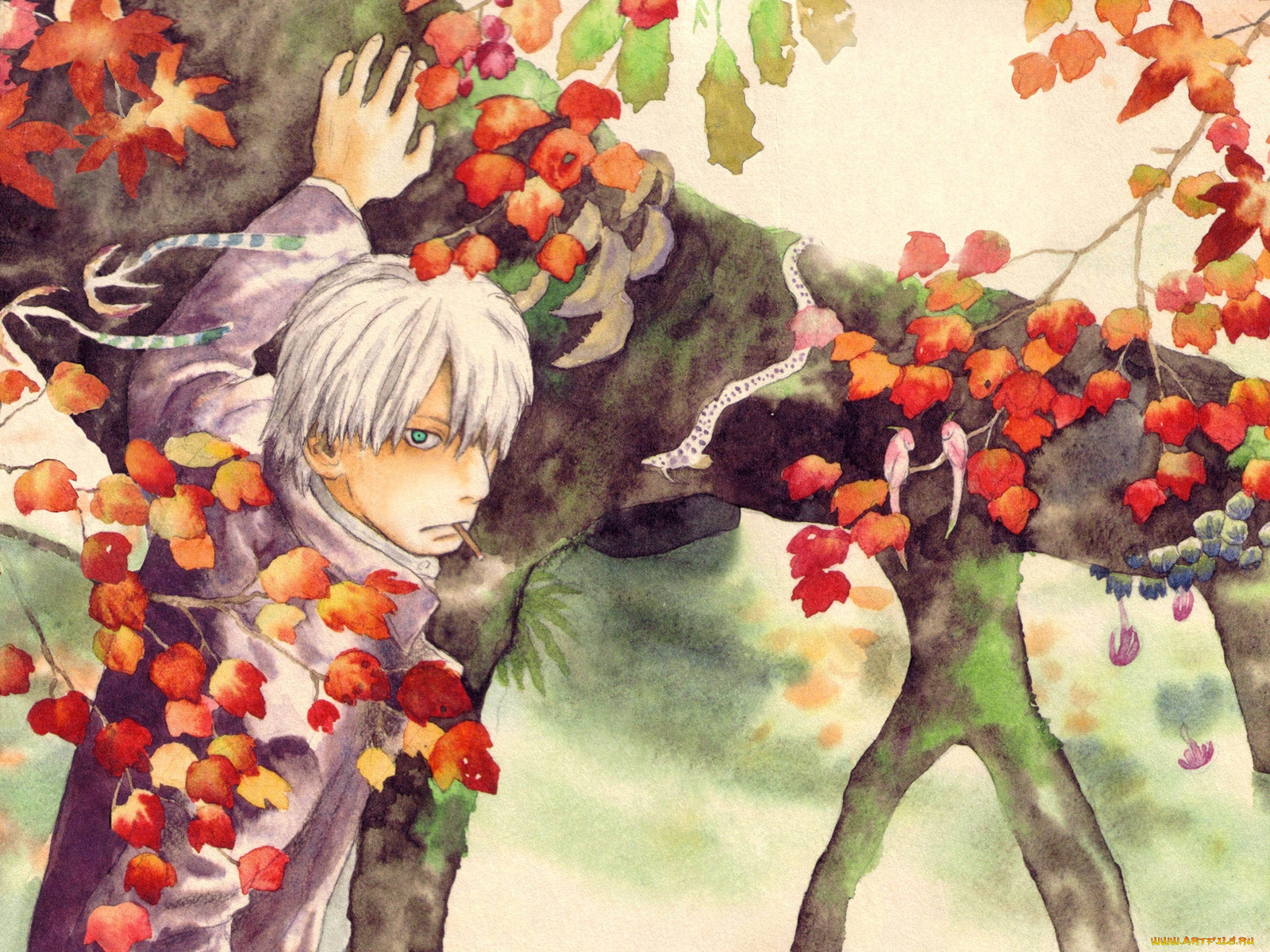 , mushishi